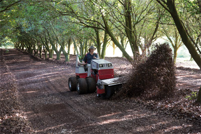Ventrac 4500 with Power Broom and Dual Wheels - Moving debris quickly and efficiently on a Macadamia Farm in Australia.