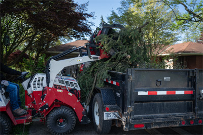 Ventrac Loader - The Ventrac KM500 Loader efficiently loads tree debris over the side of a trailer, showcasing its versatility for landscape and tree care tasks. Paired with the Ventrac 4520, this loader maximizes capability with effortless operation and a turf-friendly design, making debris transport smooth and efficient.