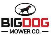 Big Dog